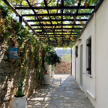 Syrou Lotos Studios & Apartments (Adults Only) Apartment Kini