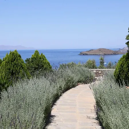 Apartment Syrou Lotos Studios & Apartments (Adults Only) Kini